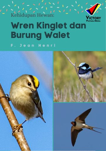 Kehidupan Hewan: Wren Kinglet dan Burung Walet